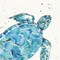 Deep Sea IX Poster Print by Anne Tavoletti - Item # VARPDX46576